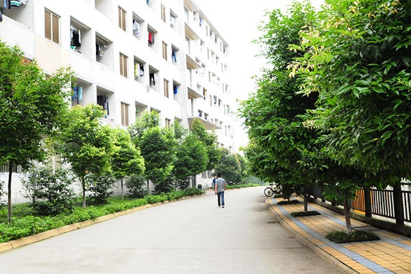 職業學校怎么樣