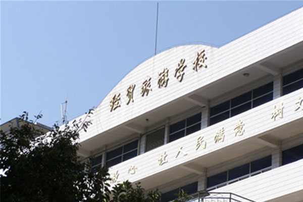 攀枝花職業中學