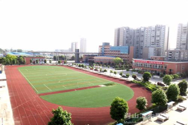 攀枝花的職業技術學院