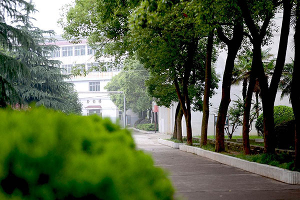 學(xué)院排名