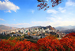 攀枝花職高學(xué)院哪些好?攀枝花市高級技工學(xué)校