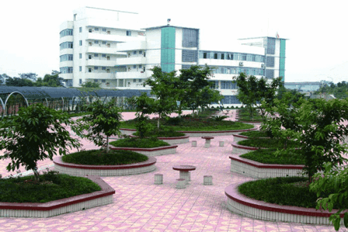 四川師范大學幼師學院
